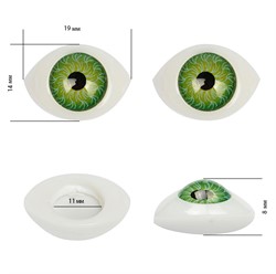Глаза овальные выпуклые цветные  19 мм цвет зеленый 1 пара  - фото 97542