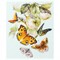 Набор для вышивания "Бабочки на яблоне" 21х27 см "Чудесная игла"  - фото 103852