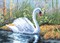 'Белый лебедь' 28,5 x 20 см 'PANNA'  - фото 70505