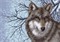 Рисунок на канве  "Волк"  "Матренин Посад"  1538  - фото 87200