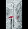 Набор для вышивания "Прогулка под дождем" 23х39 см "Нитекс" - фото 95807