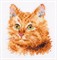 "Животные в портретах. Рыжий кот" 8х8 см "Алиса" - фото 97230