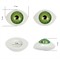 Глаза овальные выпуклые цветные  17 мм цвет зеленый 1 пара  - фото 97535