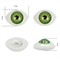 Глаза овальные выпуклые цветные  19 мм цвет зеленый 1 пара  - фото 97542