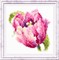 Набор для вышивания "Розовый тюльпан" 11х11 см "Чудесная Игла"  - фото 99698